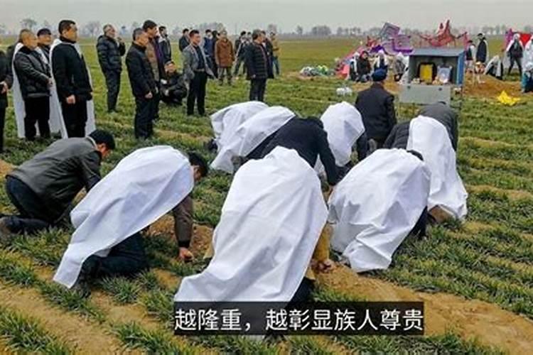 灯草姑娘告诉了我们什么道理？