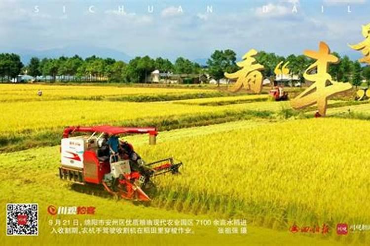 2020年什么时候秋分 是农历什么时候几点？