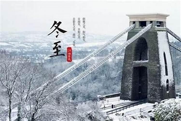 梦见活乌龟是什么兆头