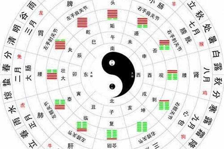 男女搭配五行是什么意思？
