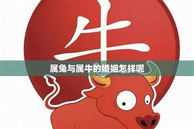 1997年的男的跟1999年女的在一起冲不冲像