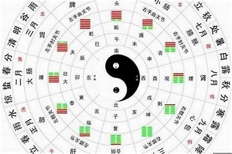 怎么看八字的喜用神,如何判断八字中的喜用神与忌神？