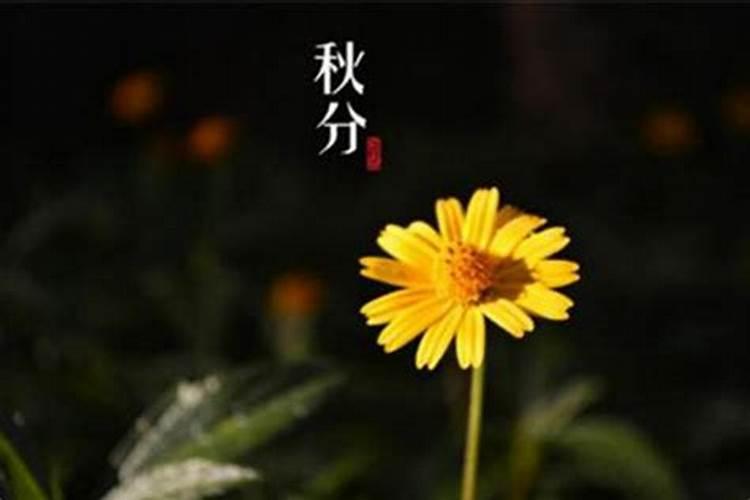 秋分的下一个节气是什么