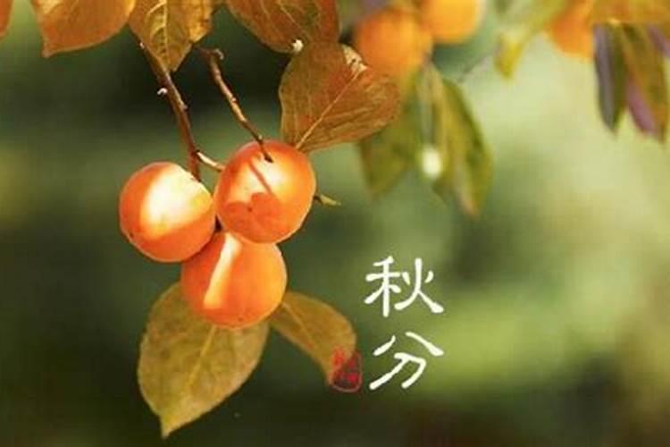 秋分下一个节气是什么 秋分的下一个节气