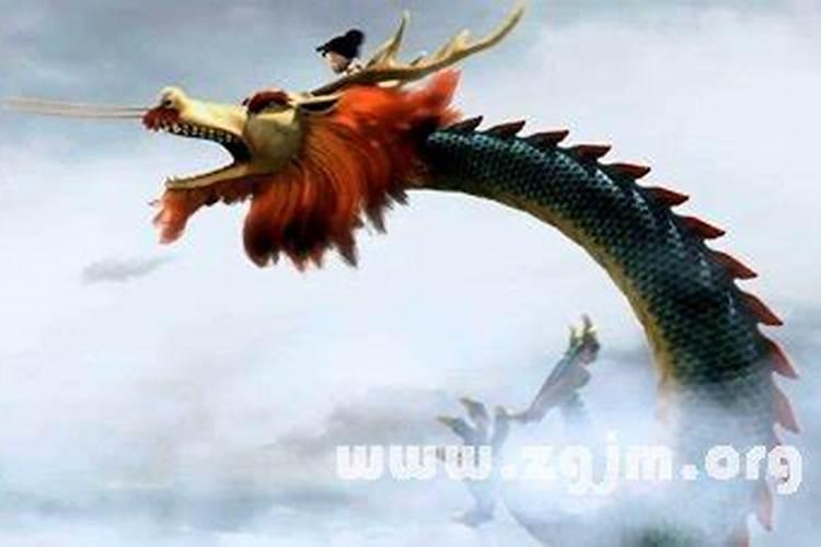 梦见两条龙在水里 一条真的一条假的