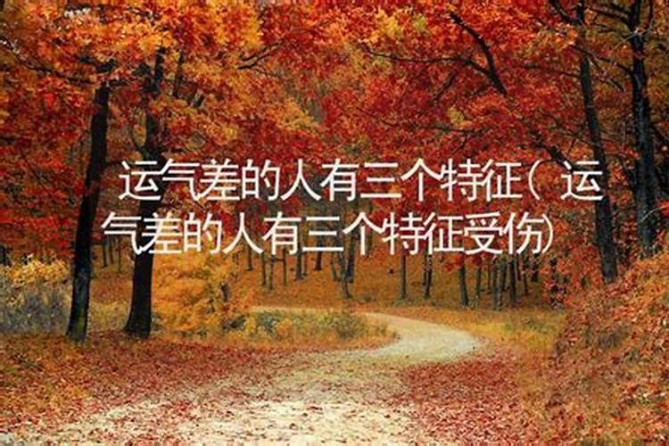 周公解梦大全:梦到大老鼠是什么意思
