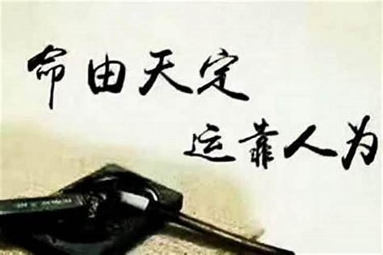1936年出生的属鼠人犯太岁劫难分析 金钱上开销增多？