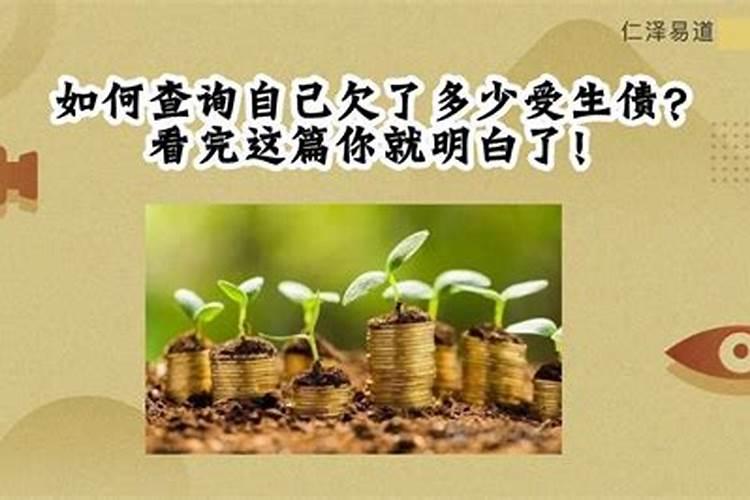受生债欠多少查法表