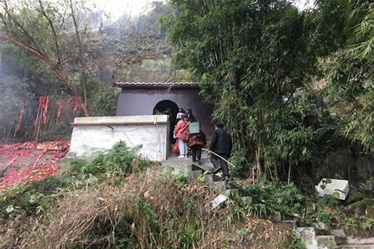 属蛇的和什么属相最配和相克属蛇和什么属相相配好