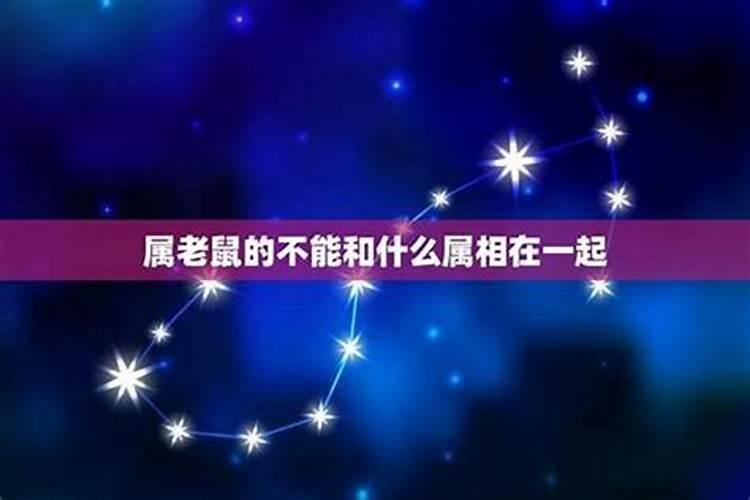 属羊女和属鼠男的婚姻相配吗
