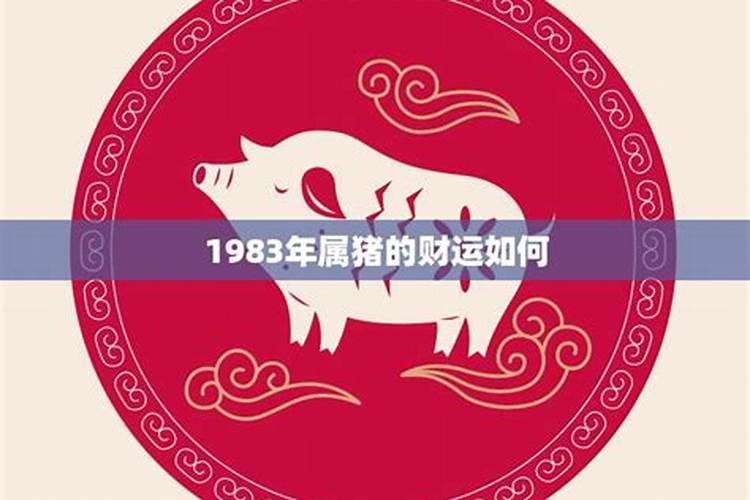 83年属猪一生的命运 83年猪40岁后十年大运运程
