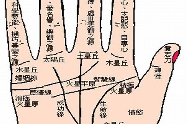 从手相能看出自己的婚姻吗,看手相怎么能看出自己有几段婚姻