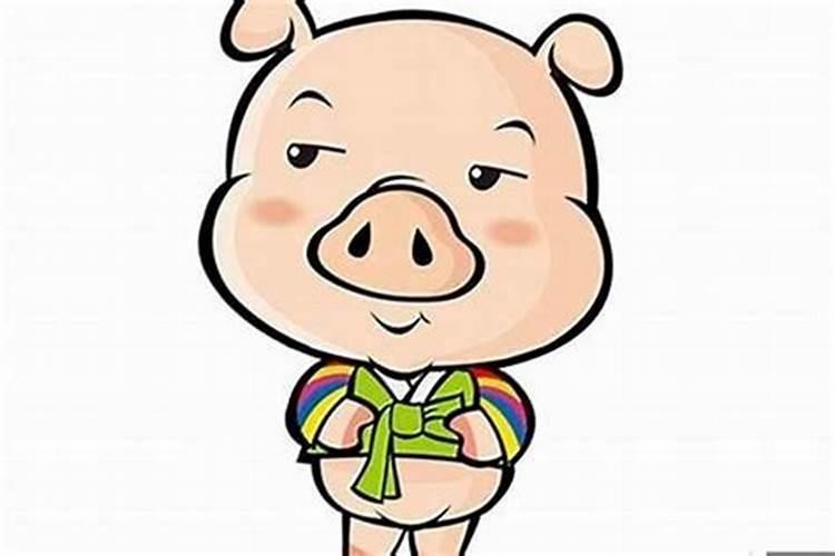 属猪和属猪在一起财运怎样,两个人属猪八字合不合
