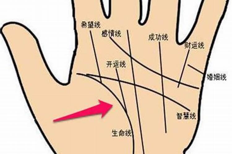 女人手相算命婚姻线两条怎么办 好不好？