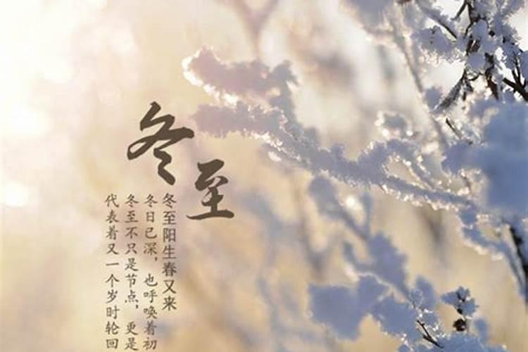 海南冬至扫墓忙？