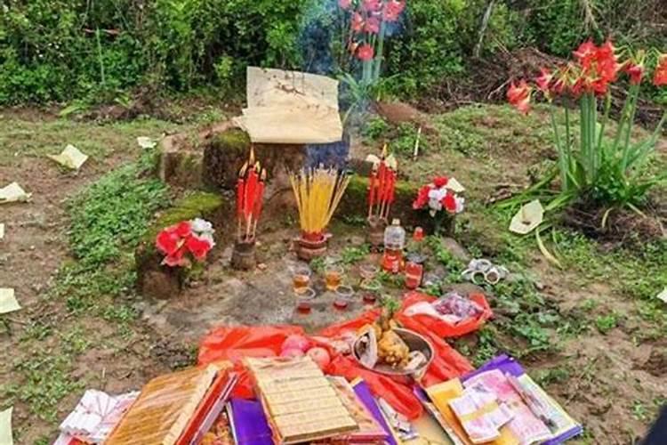 二月龙是什么命 好不好