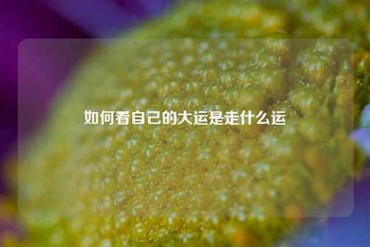 为什么微博上的福娃邓鸣鹤离开了大家说是童子命,难道聪明