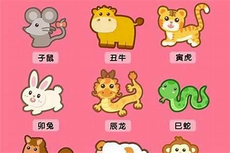 62年虎今年下半年运势
