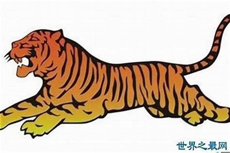 八字 夫妻属相不合的化解方法？