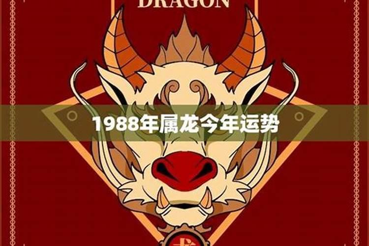 属马的和属鸡的婚姻怎么样