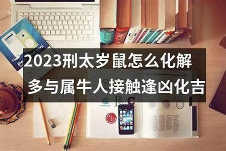 属马和属鸡的合不合
