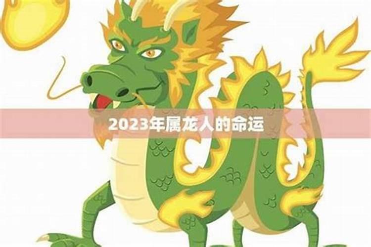 2025属龙人全年运势详解