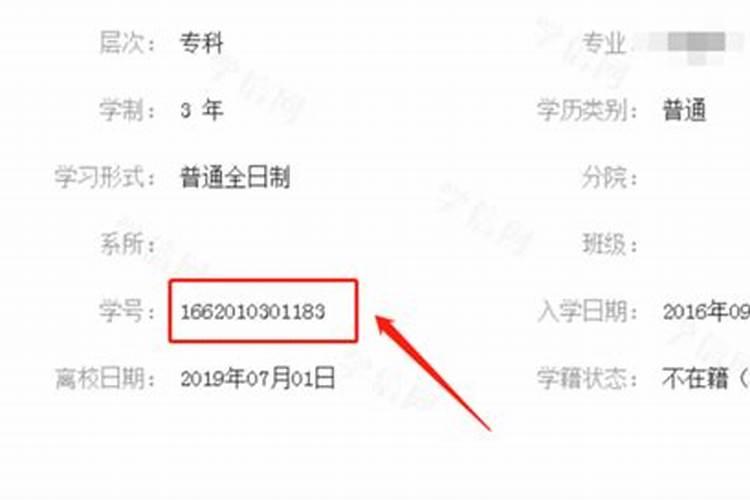 手机支付宝软件上大学信息怎么查看