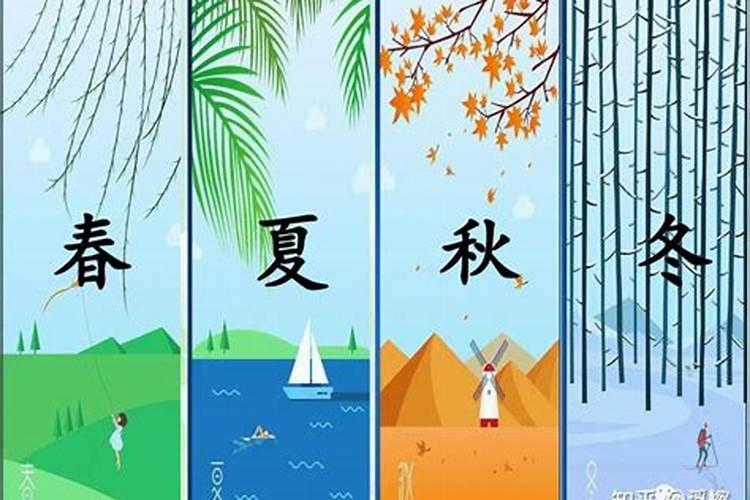 生肖兔1963年2025年运势如何 生肖兔1963年2025年全年运势