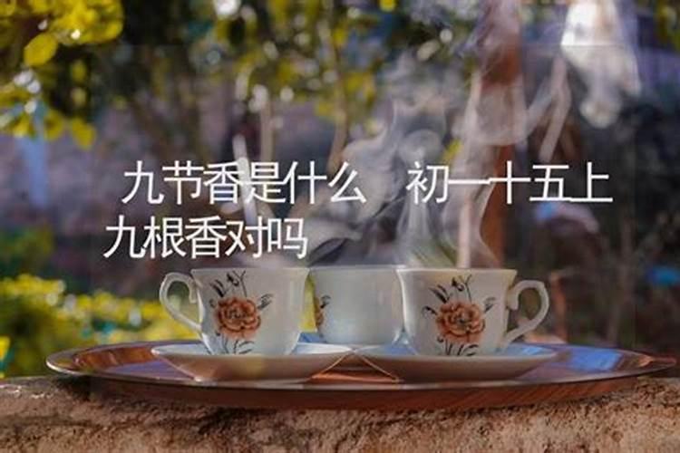 公务员政审查什么