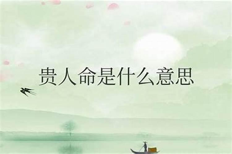 梦见路上有树枝挡路