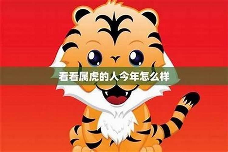 属虎人化解太岁的方法