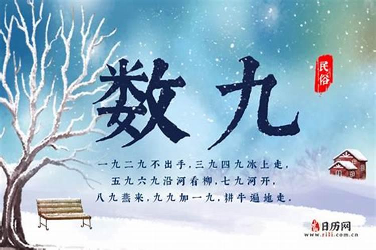为什么从冬至开始数九