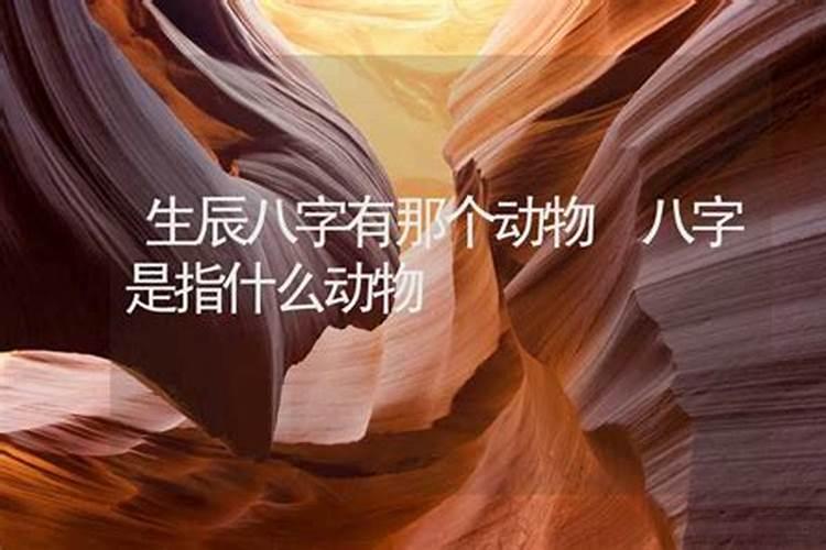 怎么从八字看一个男人命中有几次婚姻