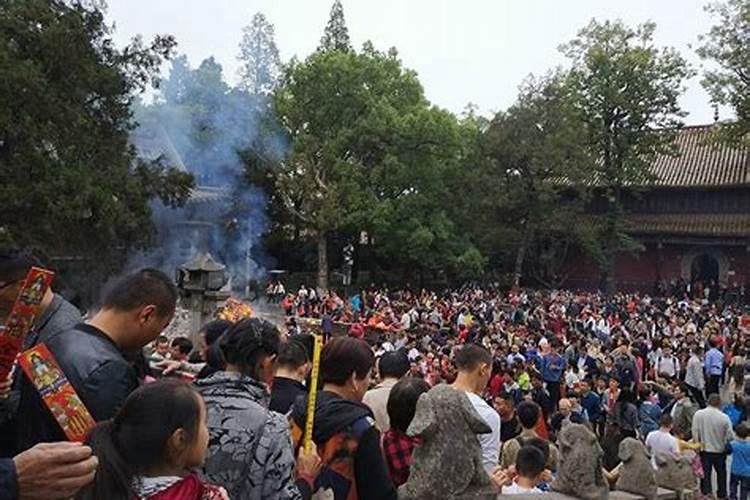 给老人上坟买几朵花(去坟前祭奠老人摆花买什么鲜花)