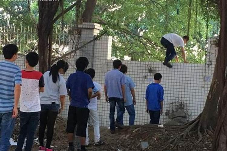 梦见铲墙土的预兆