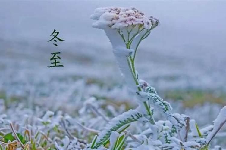 是夏至日长冬至日短还是夏至日短冬至日长