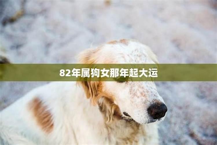 82年女狗2025农历年运势及运程每月运程