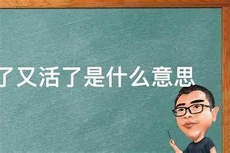 做梦梦到一只猫扑过来是什么征兆