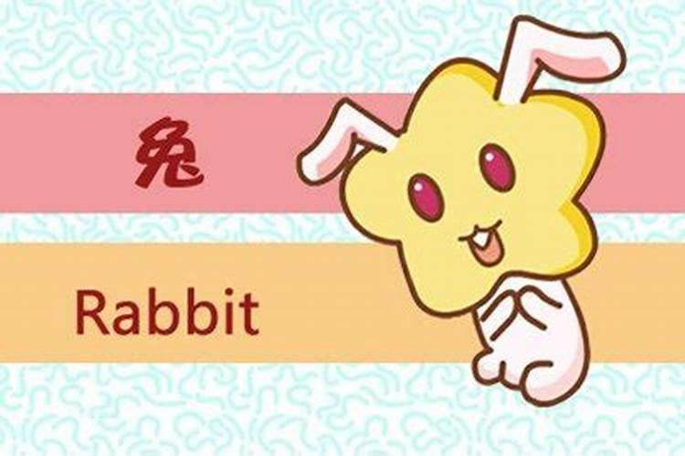属兔人2025年运势及财运