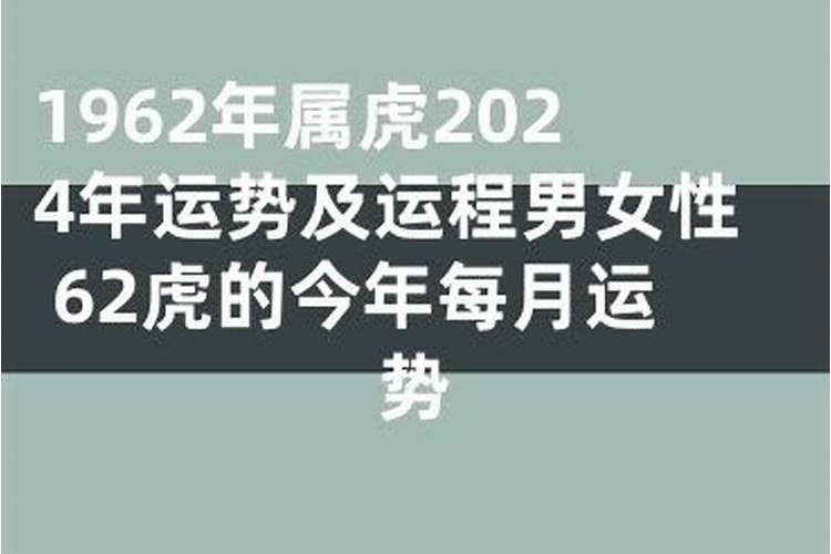 属虎62年2024年每月运程如何