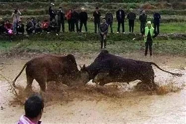 正月十五给财神上什么供好