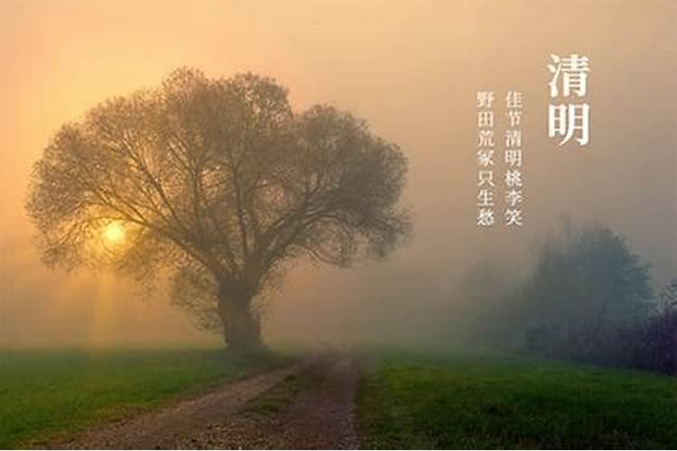 不管什么时候只要是快到清明了前两天祭坟就能砍坟上的树吗？