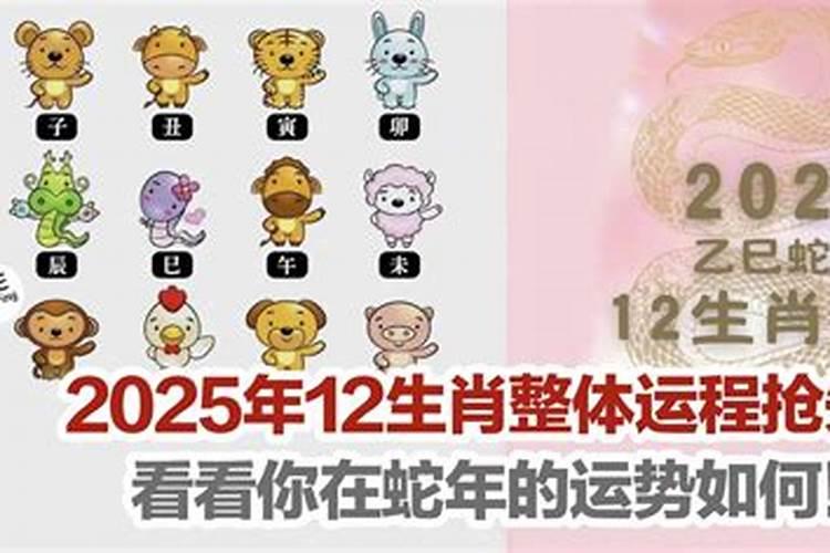 2025金蛇年是百年难遇吗