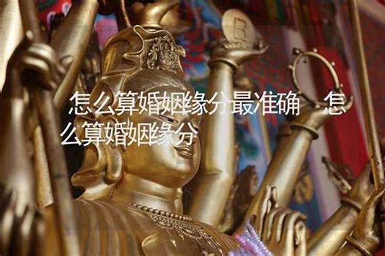 1955属羊71岁有坎坷吗