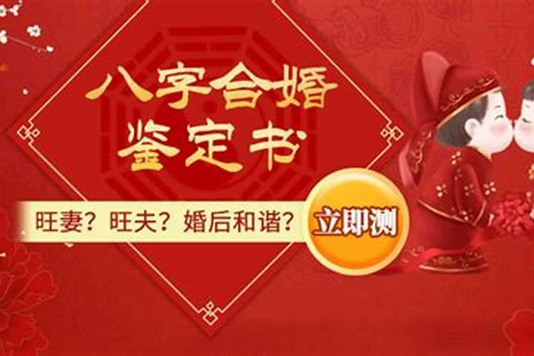 求免费算命的网站推荐几个免费算八字的网站