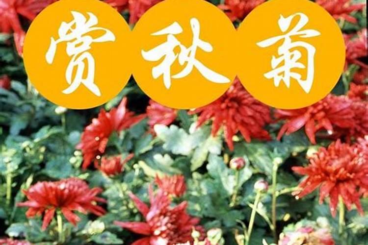 中秋节的所有习俗