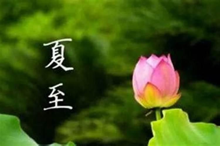 2024夏至节气几点几分开始 夏至和立夏有什么区别