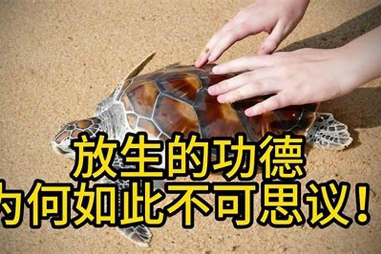 放生什么偏财运最旺运