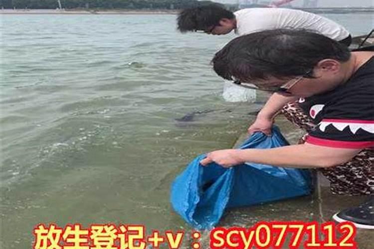 放生什么最旺财运？
