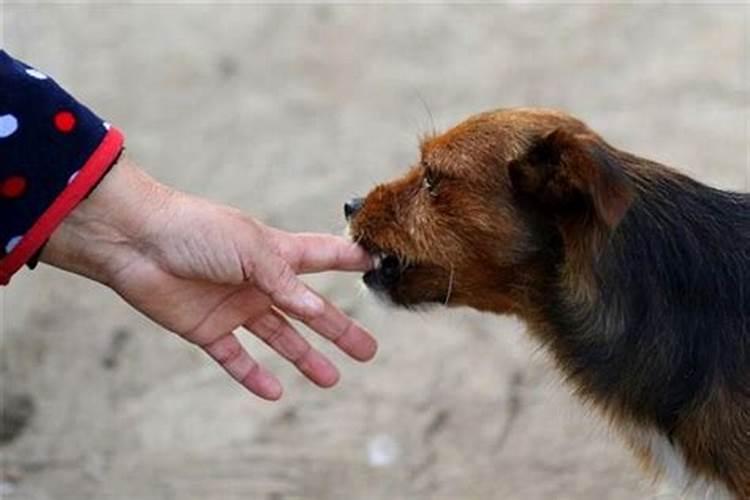 未婚女生梦见怀孕生孩子是什么意思？